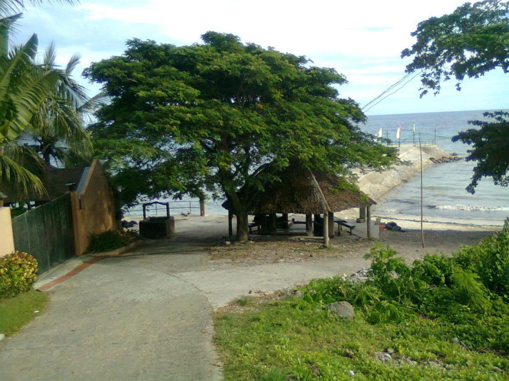 Panglao Palms Apartelle Hotel Exterior photo